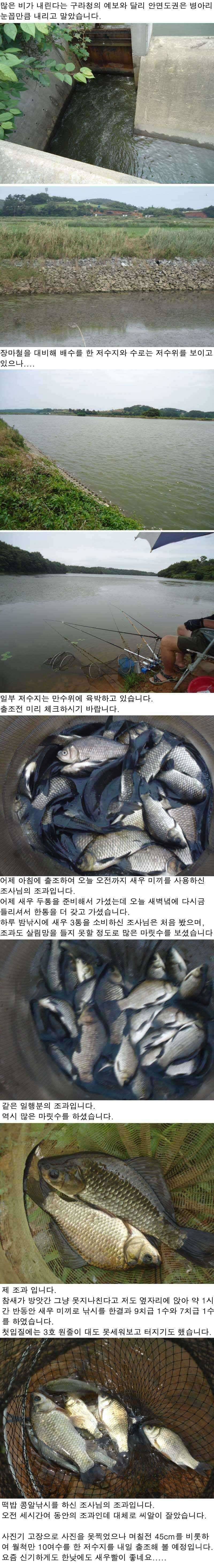 79 안면도권 저수지 새우낚시 대호황 조황 (조황조행기 - 특파원조황)