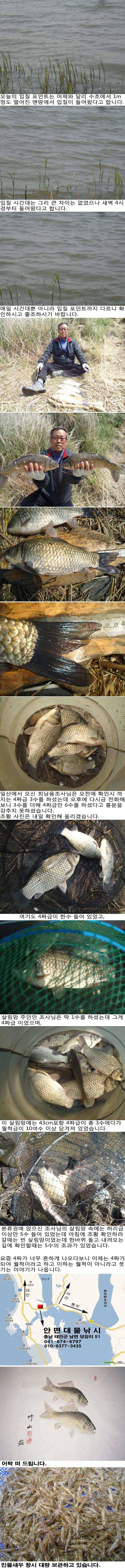 421 부남호 4짜급 이상만 월척급 대우 받는 진기한 현상 조황 (조황조행기 - 특파원조황)