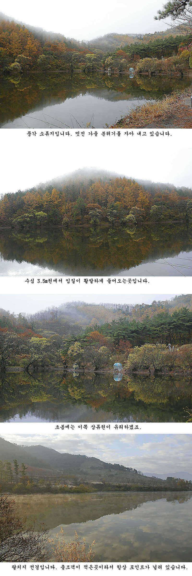 청도권 늦가을 조황정보 (조황조행기 - 특파원조황)