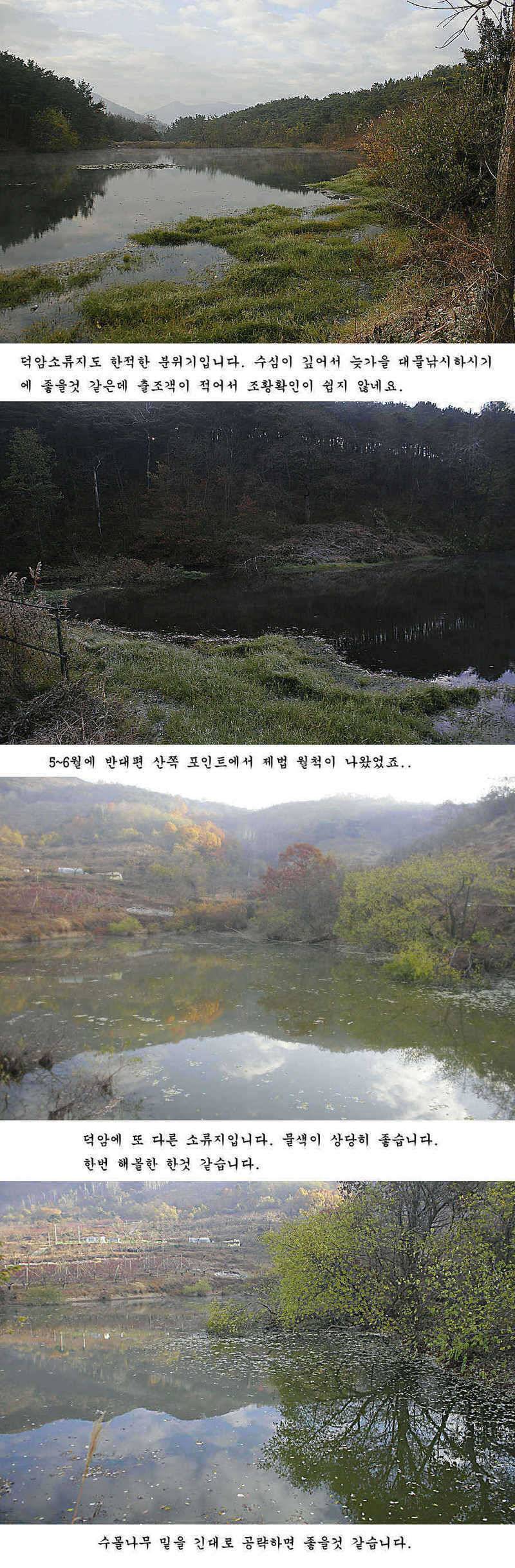청도권 늦가을 조황정보 (조황조행기 - 특파원조황)