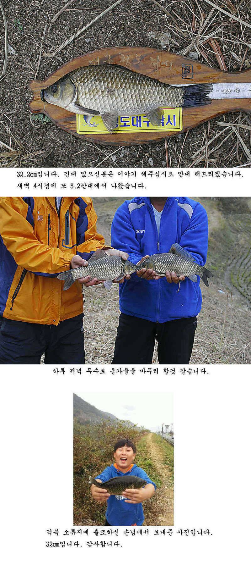 청도권 늦가을 조황정보 (조황조행기 - 특파원조황)