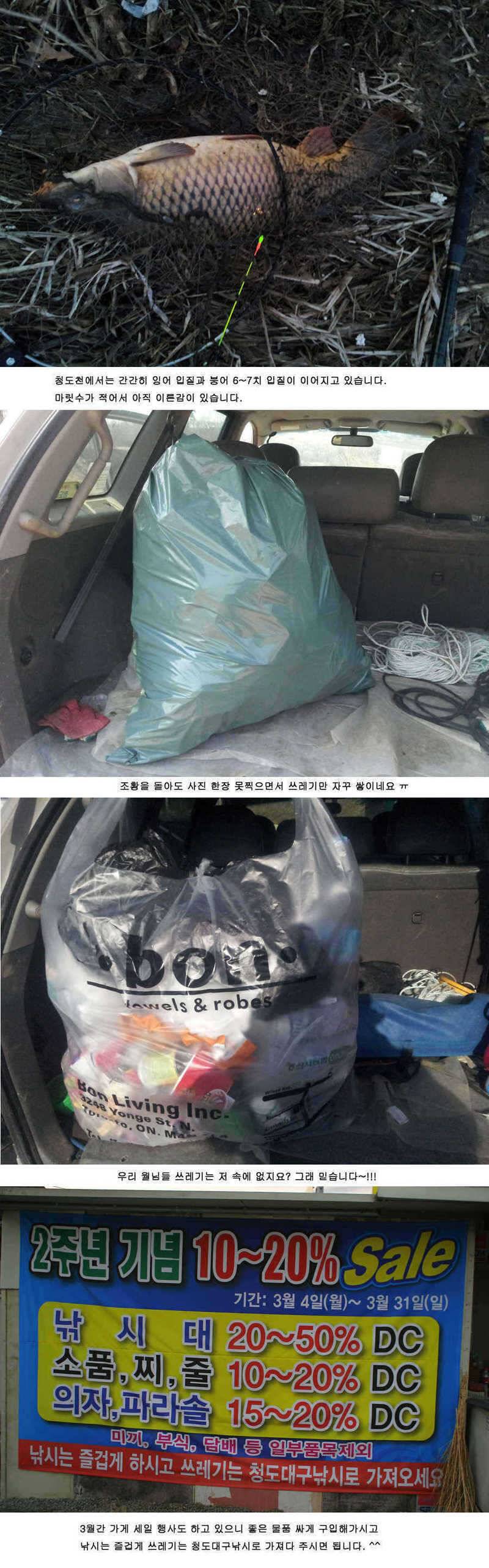 청도권 조황 정보 (조황조행기 - 특파원조황)