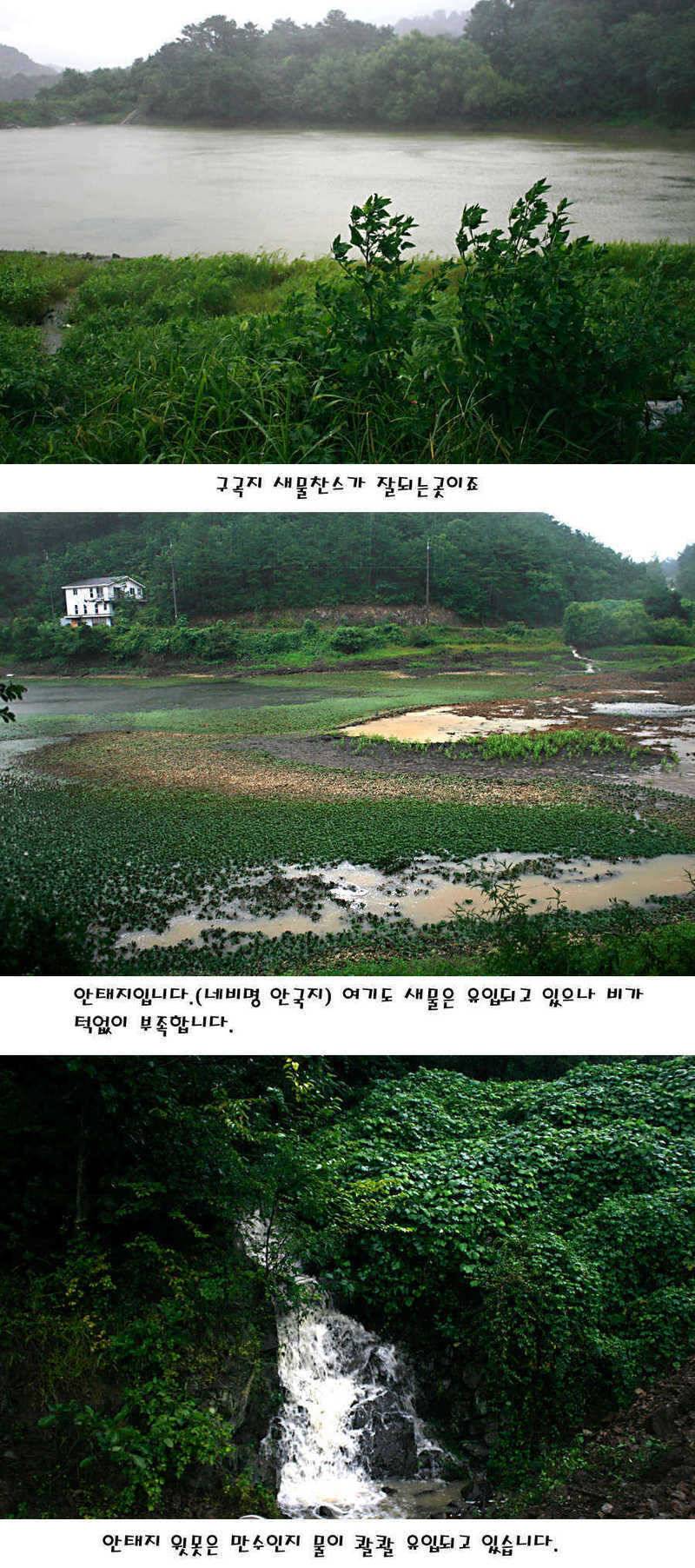 청도권 가을전 최고의 호기 (조황조행기 - 특파원조황)
