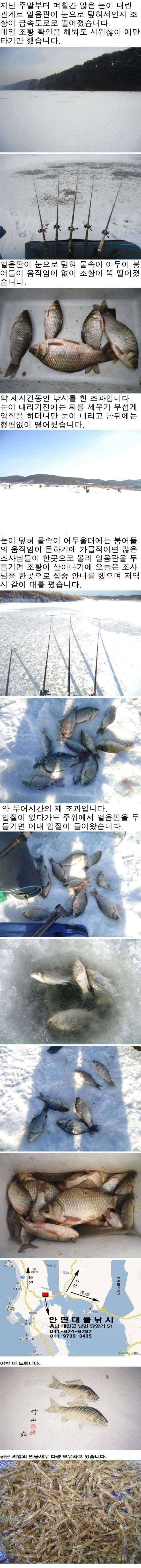 14 안면도권 저수지 및 수로 얼음낚시 조황 (조황조행기 - 특파원조황)