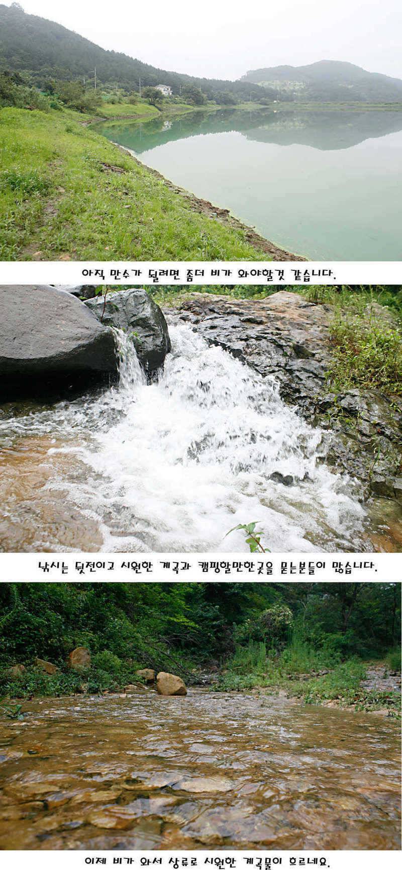 청도권 가을전 최고의 호기 (조황조행기 - 특파원조황)