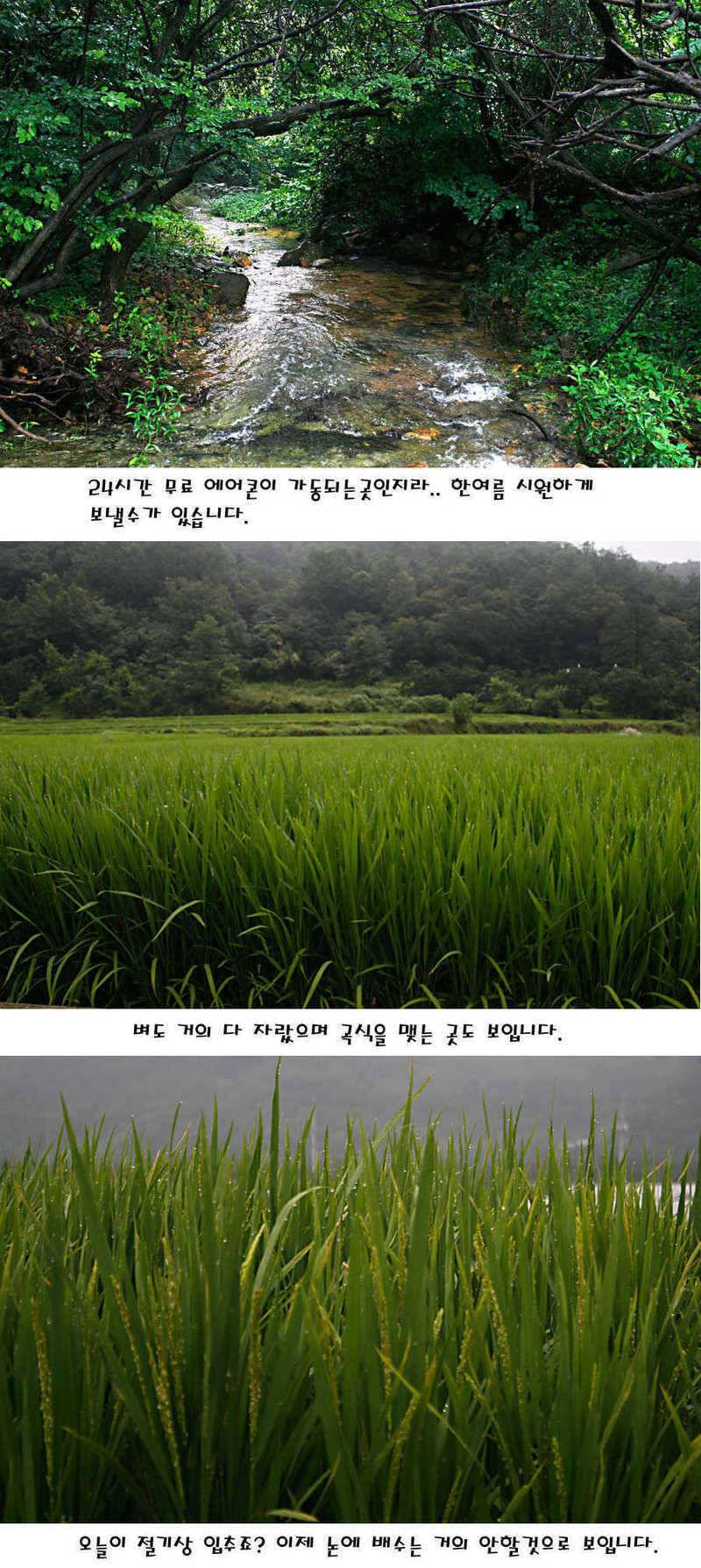 청도권 가을전 최고의 호기 (조황조행기 - 특파원조황)