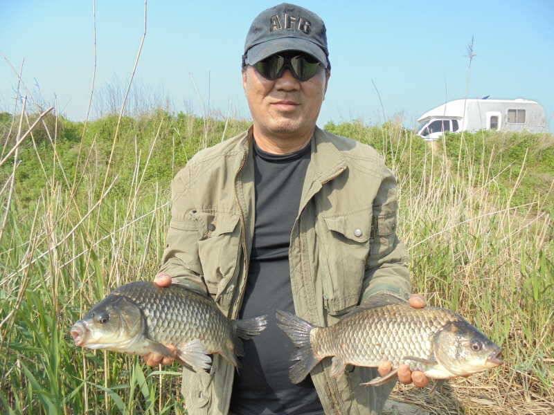 510 부남호 43cm외 4짜 대물붕어 풍어 조황 (조황조행기 - 특파원조황)
