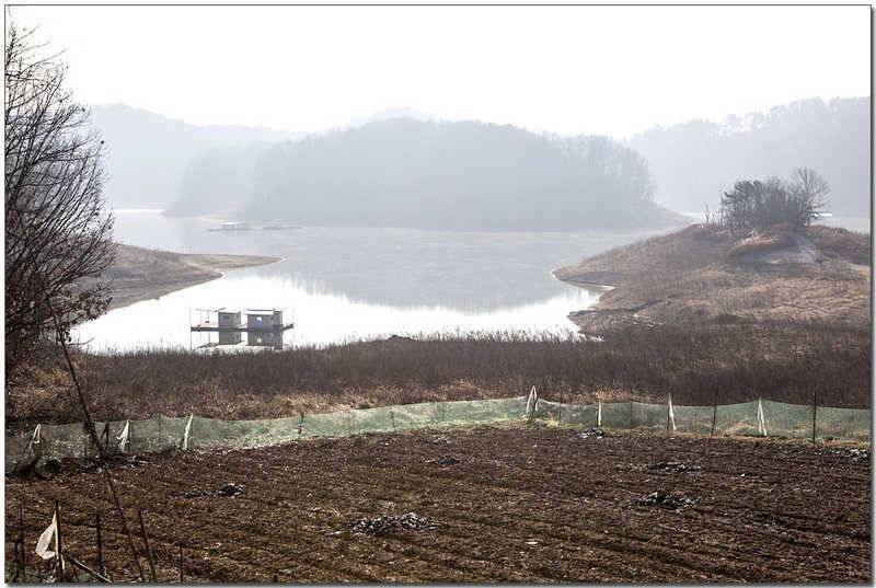 충주호 겨울 낚시 (조황조행기 - 특파원조황)