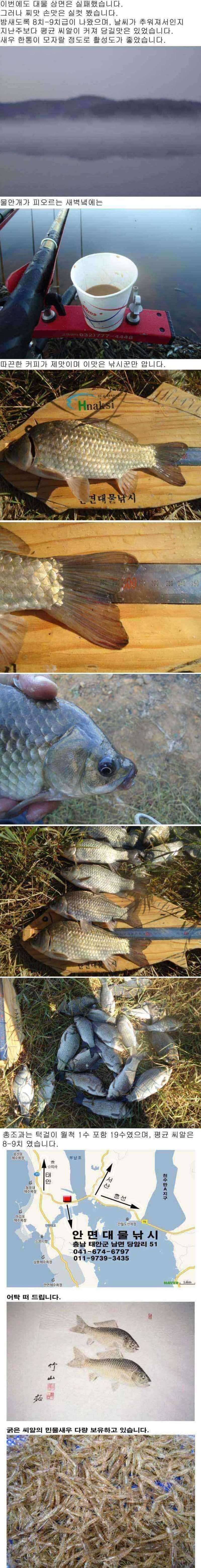 안면도권 저수지 및 수로 답사 조황 안내 (조황조행기 - 특파원조황)