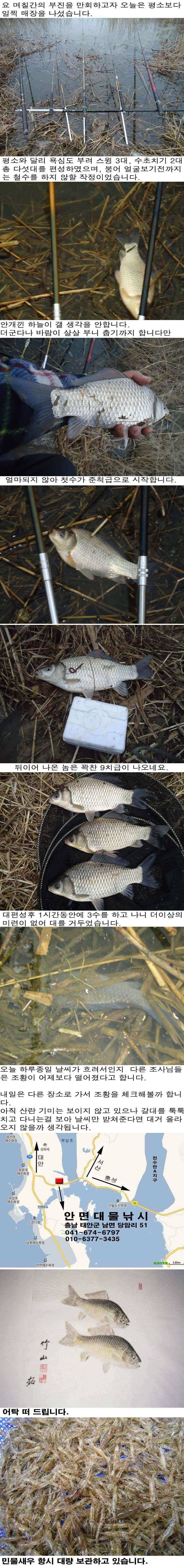 319 부남호 삼세번만의 성공 조황 (조황조행기 - 특파원조황)