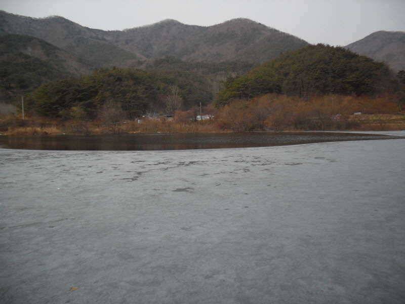 빙어와붕어 (조황조행기 - 특파원조황)