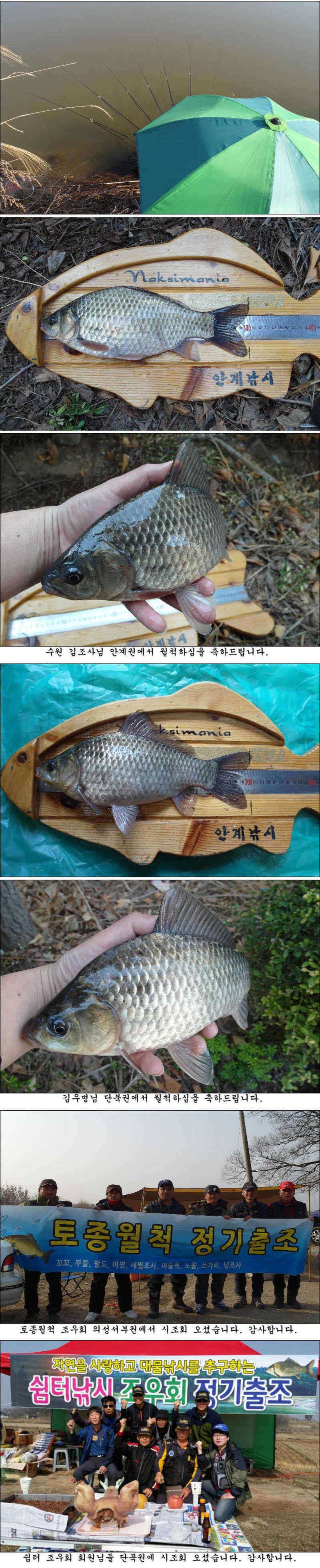 마릿수 월척에 허리급 조황 (조황조행기 - 특파원조황)