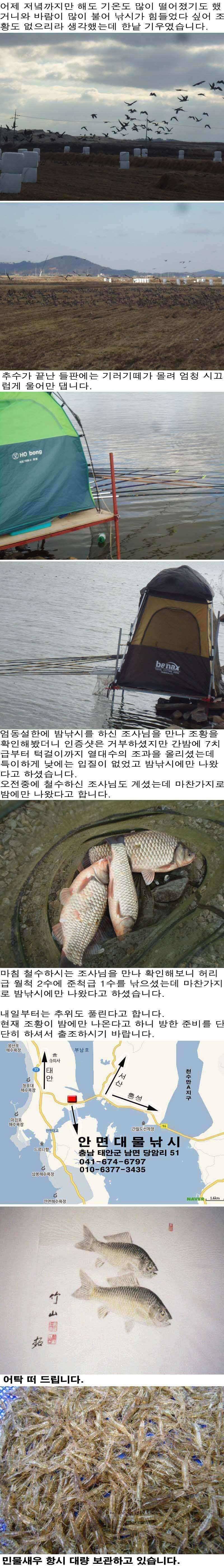 1121 부남호 정답없는 겨울 물속 조황 (조황조행기 - 특파원조황)