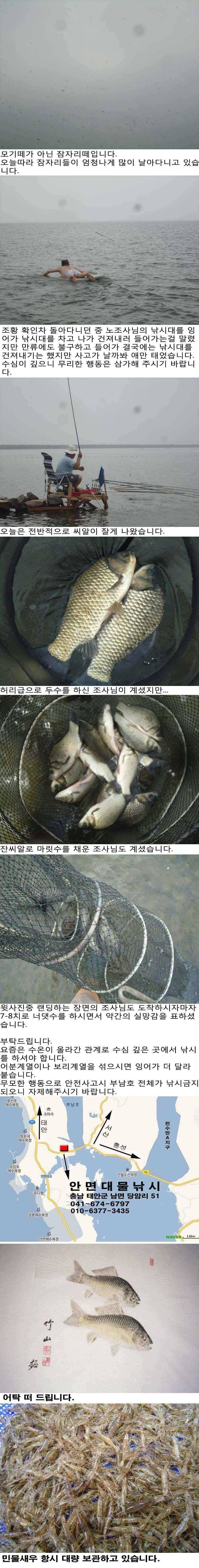 715 부남호 안전사고에 유의해주시기 바랍니다 (조황조행기 - 특파원조황)