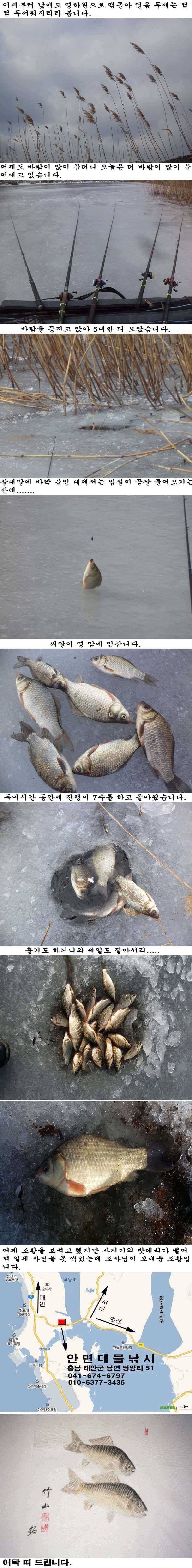 21 안면도권 저수지 칼바람속의 조황 (조황조행기 - 특파원조황)