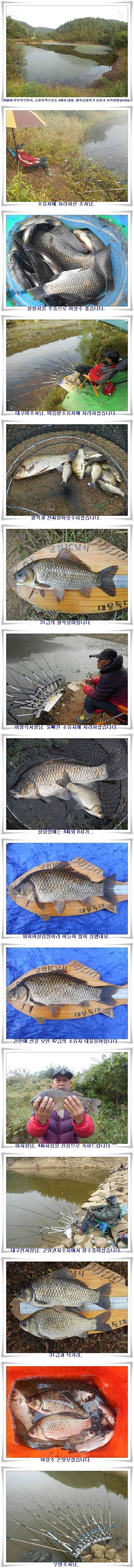 4짜와 대물월준척 마릿수 (조황조행기 - 특파원조황)