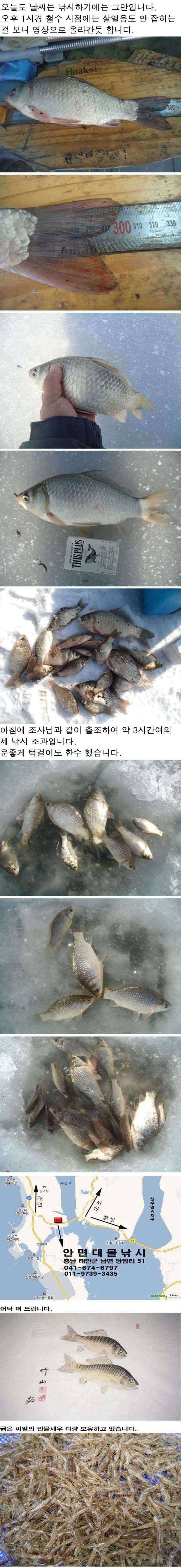 17 안면도권 저수지 및 수로 얼음낚시 조황 (조황조행기 - 특파원조황)