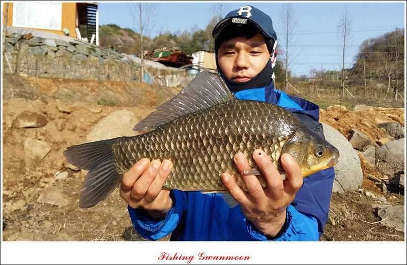 추평지 46 cm45 cm 대물 (조황조행기 - 특파원조황)