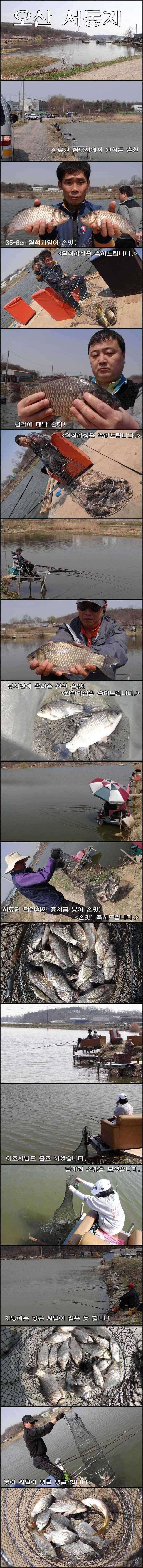 밤낮 없는 전천후 서동지 (조황조행기 - 특파원조황)
