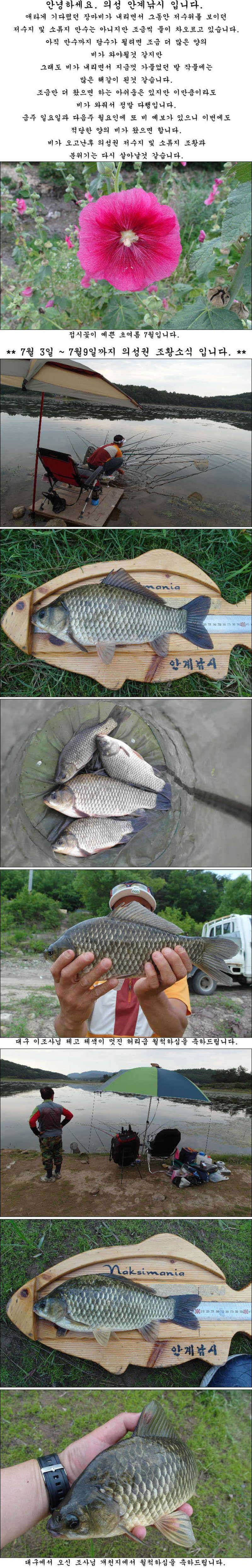 황금빛 허리급과 월척들 (조황조행기 - 특파원조황)