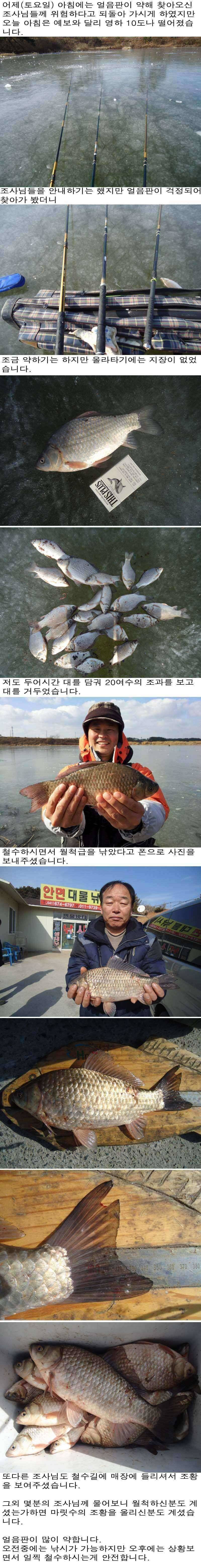 119 안면도권 저수지 얼음낚시 월척 및 마릿수 조황 (조황조행기 - 특파원조황)