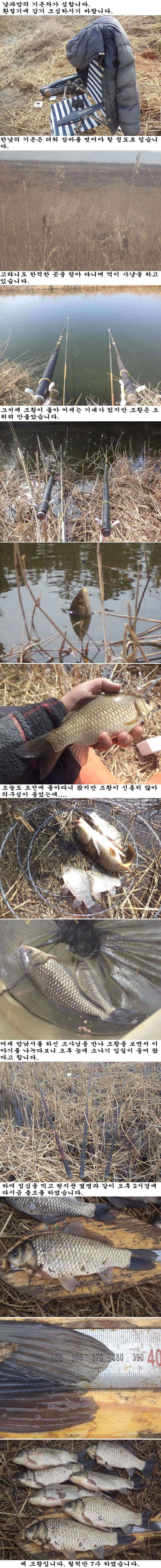 317 부남호 월척만 7수 조황 (조황조행기 - 특파원조황)
