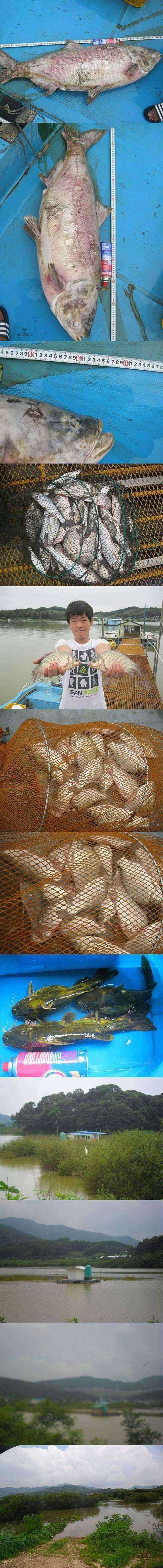 고삼지 장마가 끝난 후의 모습 (조황조행기 - 특파원조황)