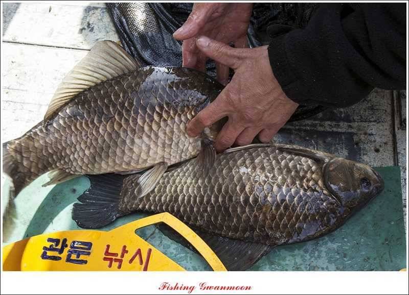 칠성지 사짜 대박 (조황조행기 - 특파원조황)