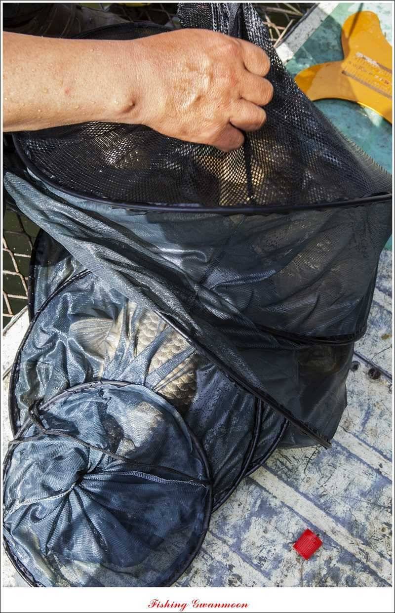 칠성지 사짜 대박 (조황조행기 - 특파원조황)