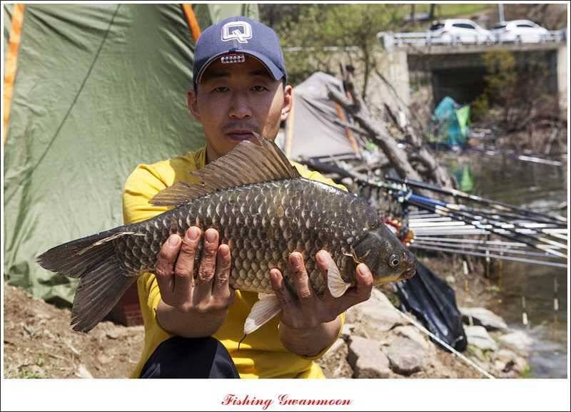 추평지 46 cm45 cm 대물 (조황조행기 - 특파원조황)