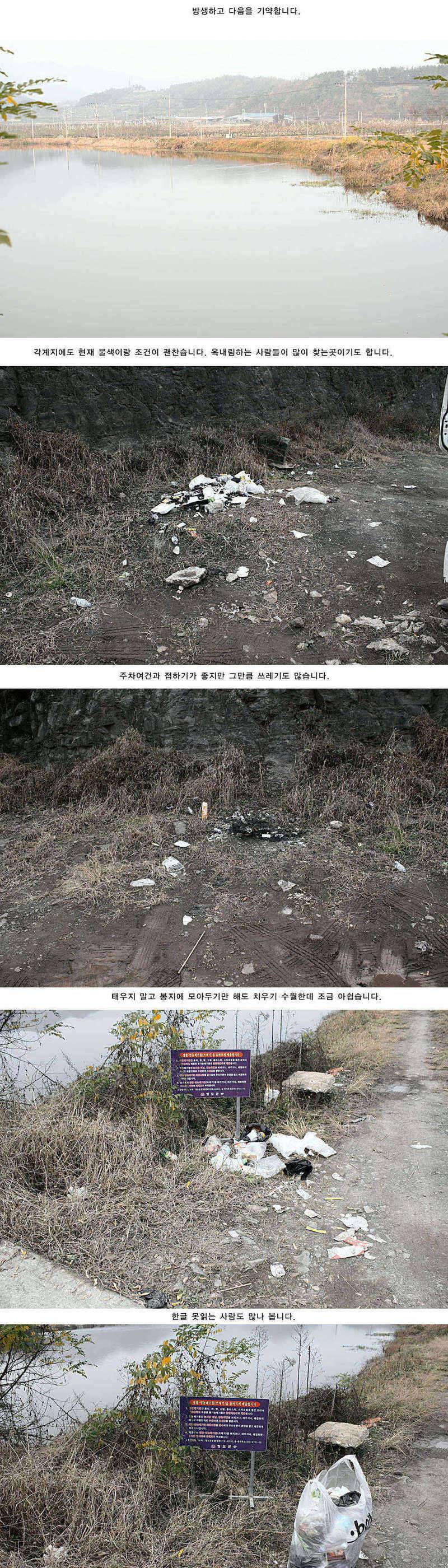 주중 청도 조황 정보입니다 (조황조행기 - 특파원조황)