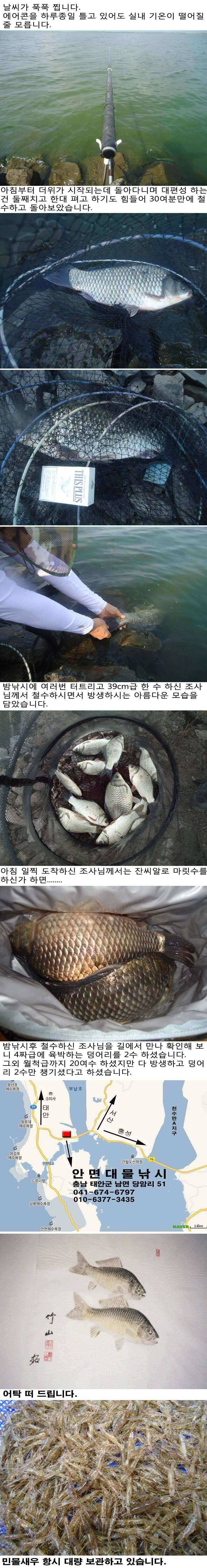 730 부남호 밤낚시 조황 (조황조행기 - 특파원조황)