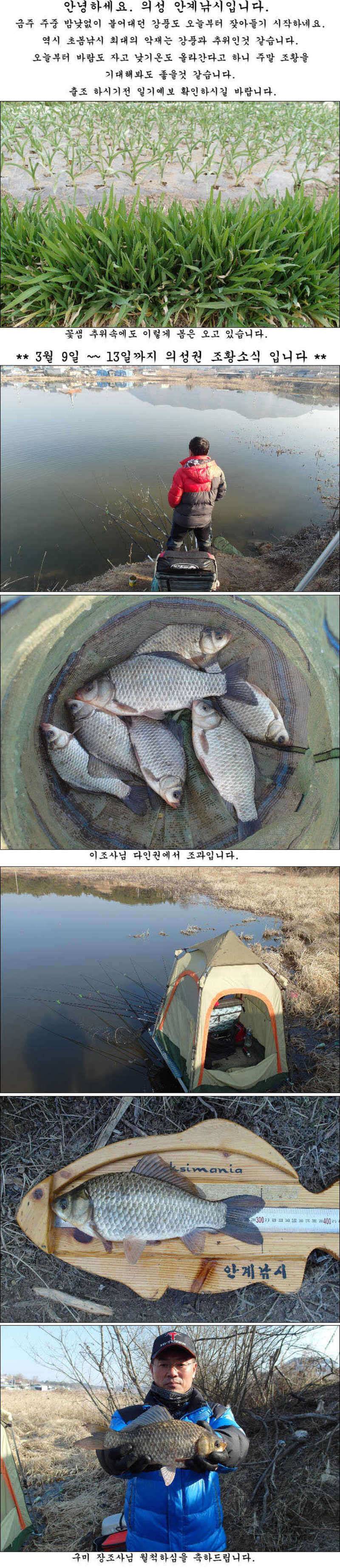3월 둘째주 의성권 조황소식입니다 (조황조행기 - 특파원조황)