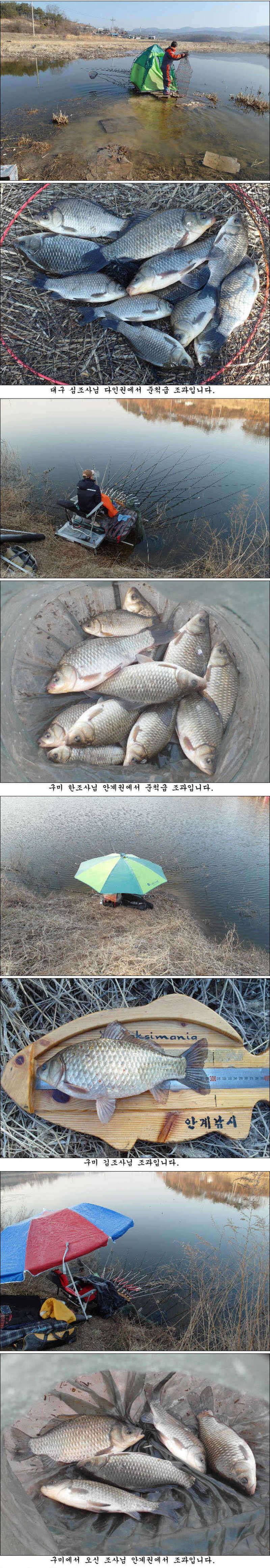 3월 둘째주 의성권 조황소식입니다 (조황조행기 - 특파원조황)