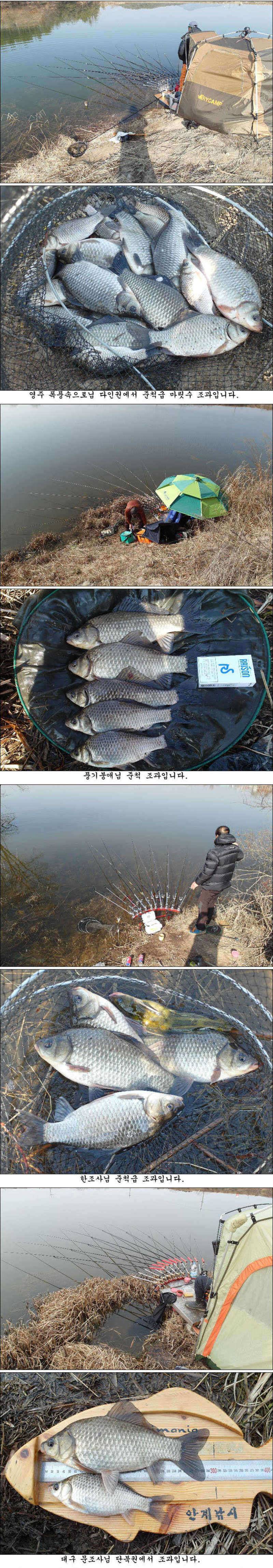 3월 둘째주 의성권 조황소식입니다 (조황조행기 - 특파원조황)