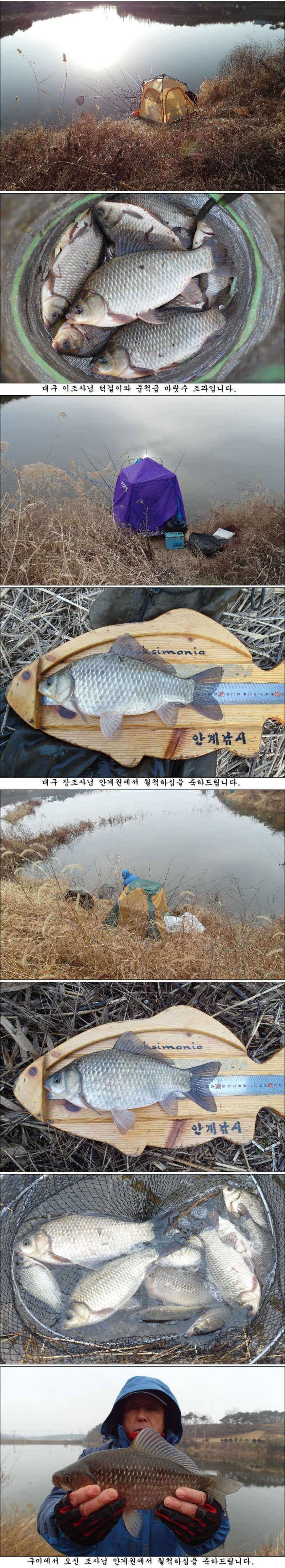 의성권도 이제 시작됩니다 (조황조행기 - 특파원조황)