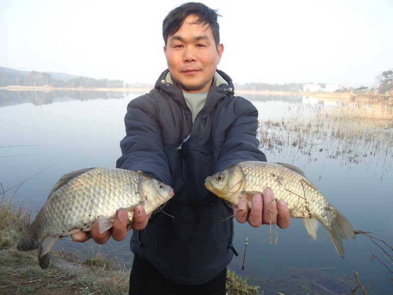 44 안면도권 저수지 및 수로 조황 (조황조행기 - 특파원조황)