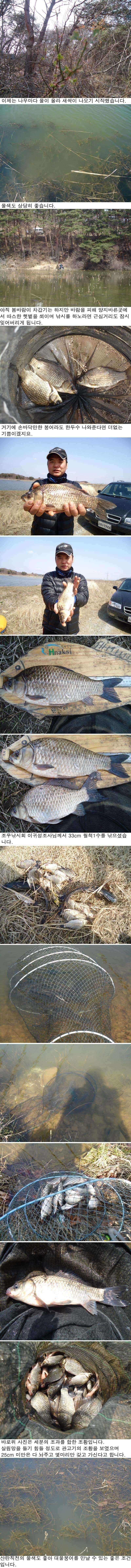 봄냄새가 물씬 풍기는 안면도권 저수지 및 수로 주말 조황 (조황조행기 - 특파원조황)