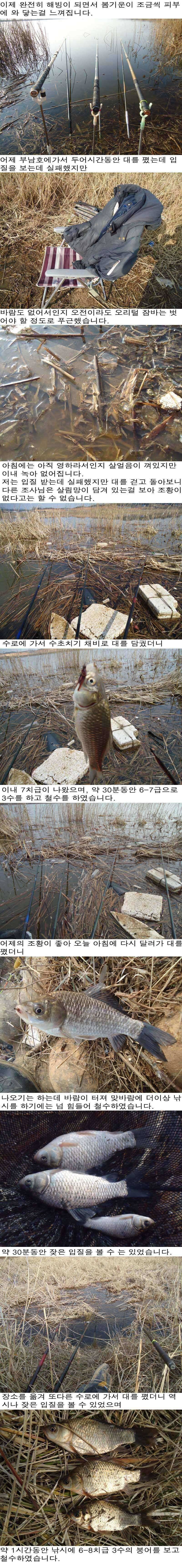 213 부남호 및 안면도권 저수지 조황 (조황조행기 - 특파원조황)