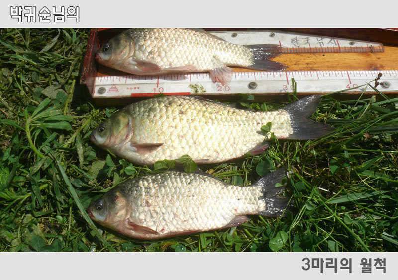 소나기가 멈추고 햇살이 퍼질 때 (조황조행기 - 특파원조황)