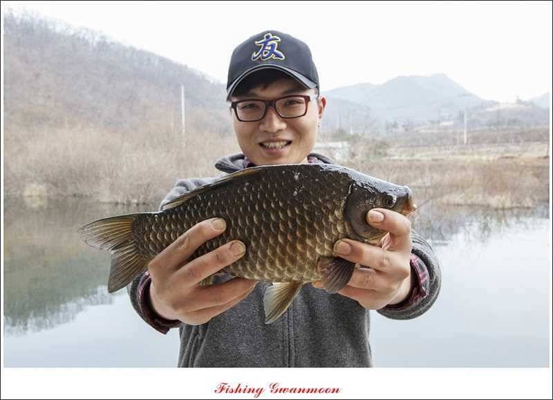 화곡지추산지 조황 (조황조행기 - 특파원조황)
