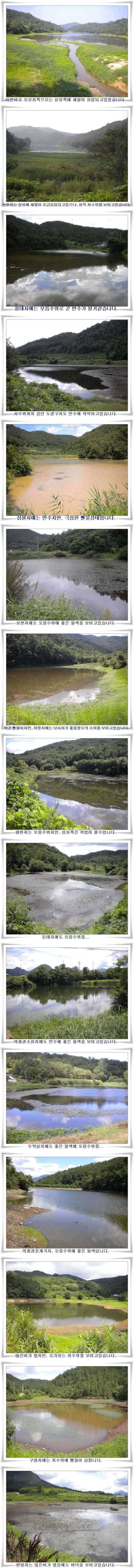 오름수위 살아나는조황 (조황조행기 - 특파원조황)
