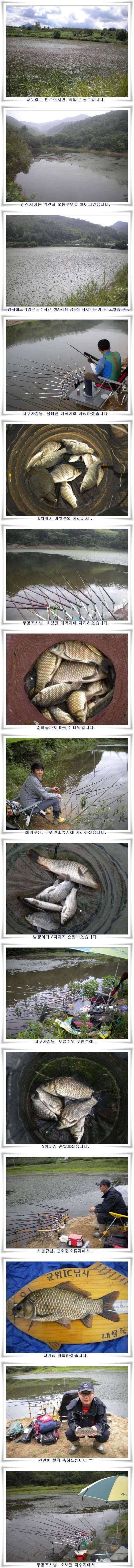 오름수위 살아나는조황 (조황조행기 - 특파원조황)