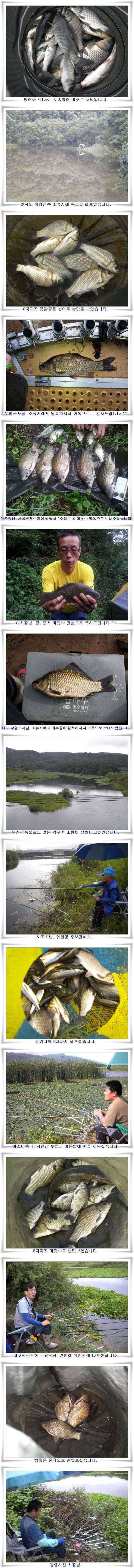 오름수위 살아나는조황 (조황조행기 - 특파원조황)