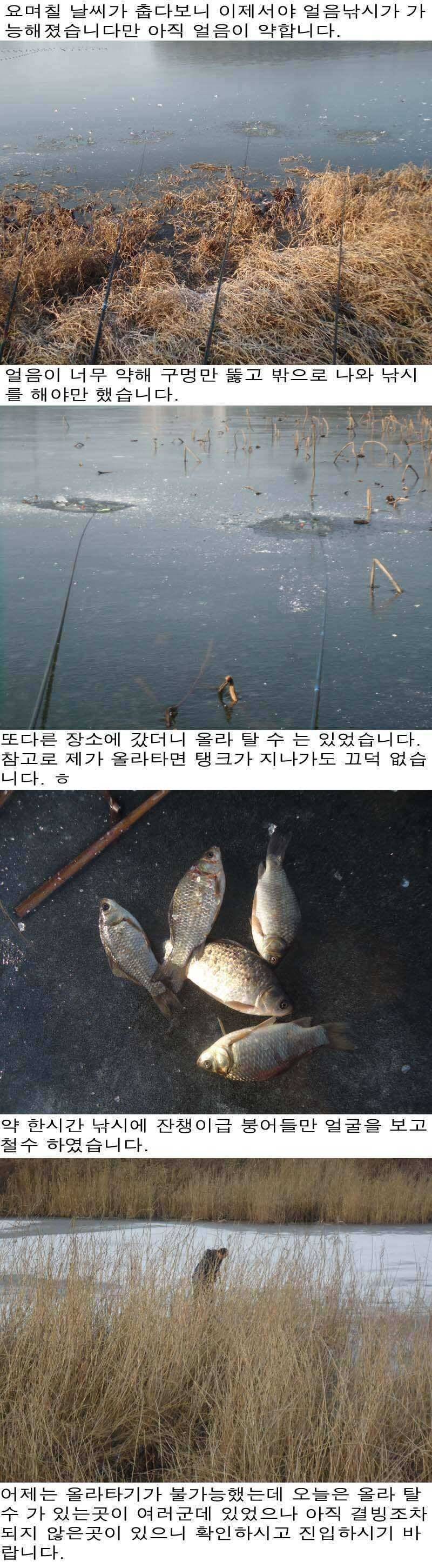 114 안면도권 저수지 및 수로 얼음낚시 일부지역 가능 조황 (조황조행기 - 특파원조황)
