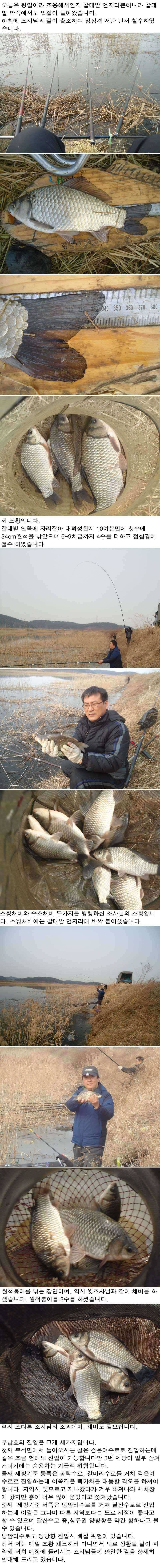 225 부남호 주중 조황 (조황조행기 - 특파원조황)