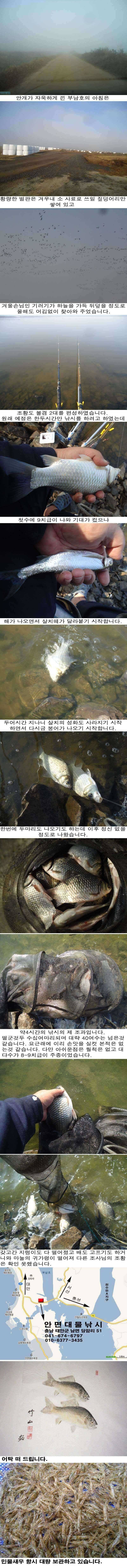 115 부남호 오랫만에 맛 본 관고기 조황 (조황조행기 - 특파원조황)