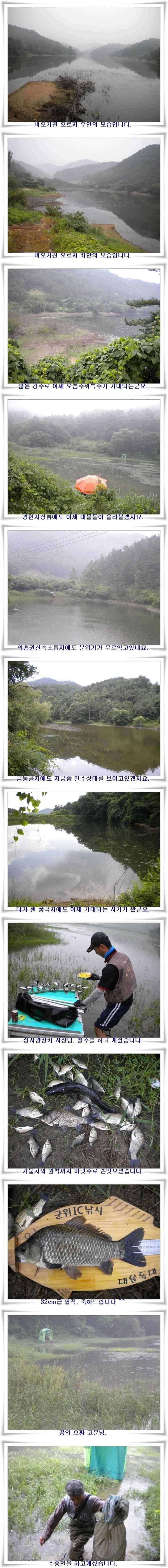 오름수위 기대할시기 (조황조행기 - 특파원조황)