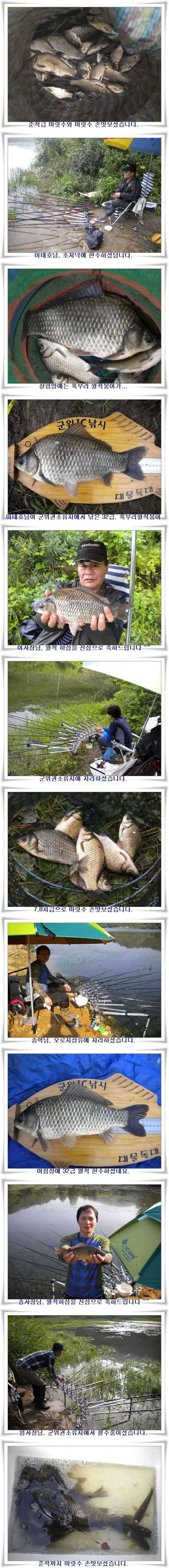 오름수위 기대할시기 (조황조행기 - 특파원조황)