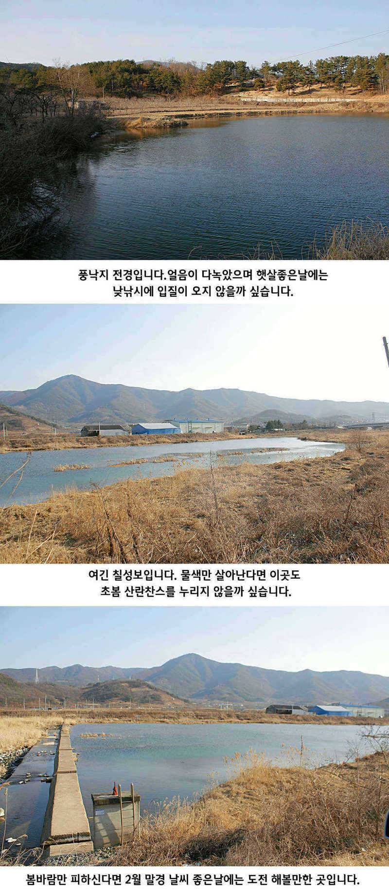 청도권 물낚시 시즌 오픈 (조황조행기 - 특파원조황)